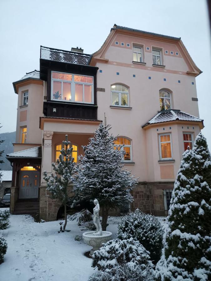 Villa Federer Dolni Zalezly Exterior foto